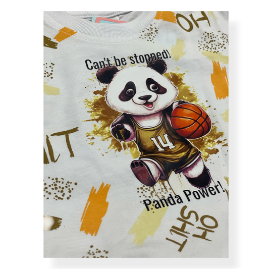 Panda Power Basketball Set - 2 Pcs - Pyare Bachay 